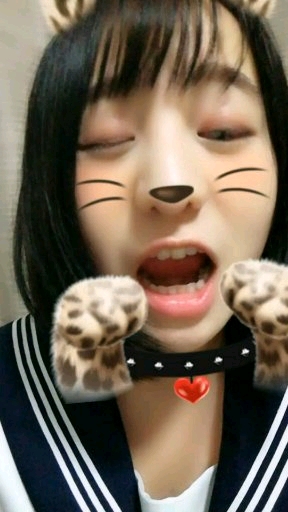 ニャンニャンニャン